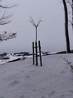  20. Dezember 2012 - nach einer langen Geburtstagswanderung bin ich angekommen - nicht angekommen